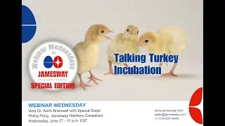 Webinar Wednesday 37 - Talking Turkey Incubation