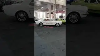 Pacecar Mustang #shorts  #classic #automobile #fast #cartok #oldschool