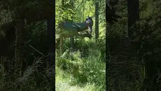 Jurassic world Dinosaure park visit #dianosaur #kidsvideo #kids #games #nature