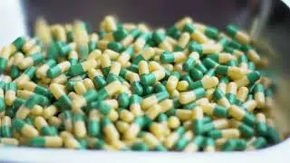 The Miracle Mold: How Curiosity Led to the Discovery of Antibiotics