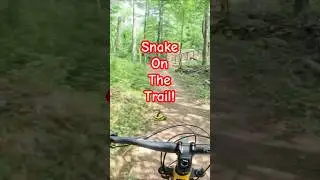 Pt. 6 Snake, Bridges, Steep Hill and Descents to The Exit #mtb #mtbtrails