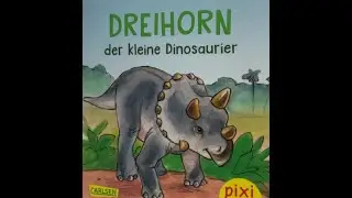Pixi-Buch 