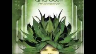Androcell - Neurosomatic circuit