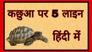 Few lines on tortoise in Hindi | कछुआ पर 5 लाइन हिंदी में | 5 lines on tortoise | tortoise | 2022