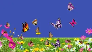Beautiful Natural Garden with Butterfly Flying Effect Chroma key Blue screen Animation Effects HD