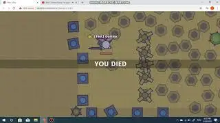 proe heal or hacks?
