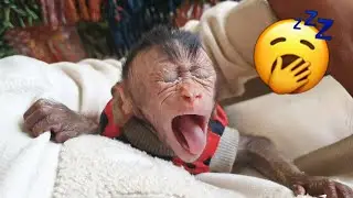 Gorgeous Ni Ni yawn big mouth too much sleepy