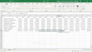 EX-01-06 &ndash; Create a Sales Dashboard in Excel: Track Monthly, Quarterly & YTD Totals with Charts