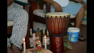 Ayahuasca Retreat in the Amazon | Shamanic Healing and Experience