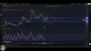 Dogecoin DOGE Update: Key Levels & Next Moves! #shorts
