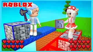 Aku Dan Cia Bekerja Sama Membuat Jembatan Di Game Roblox Block And Mine