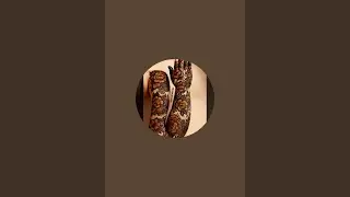 Falak mehndi artist... is live