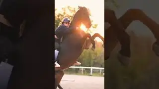 Horse #horse rearing