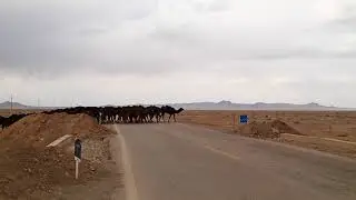 20180228 DASHT-E KAVIR, IRAN