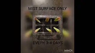Turn one plant into a small business