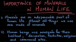 importance of minerals in human life