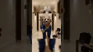 Realistic Horror Pets Caught on Camera 😱🐾 Jason & More!  #viral #horror #animals #halloween #funny