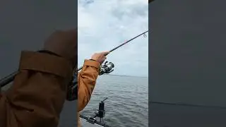 👆👆👆 Новое видео от Luxury Girl #fishing #судак