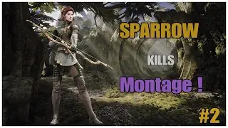 Paragon Sparrow Kills Montage ! PS4
