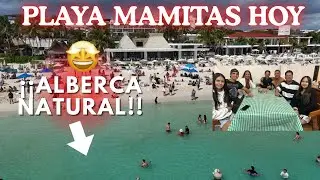 Playa Mamitas HOY 🌊 Mar como alberca, agua turquesa y tarde perfecta en la Quinta | Playa del Carmen