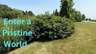 Enter a Pristine World | Clean Earth Collective