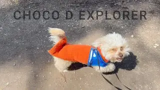 CHOCO D EXPLORER