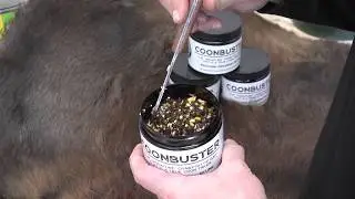 Coonbuster Bait