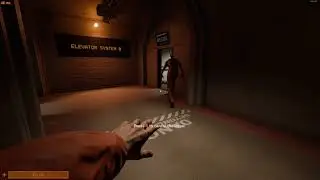 Little bro's brain damage