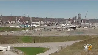 Shell Cracker Plant Adding Workers