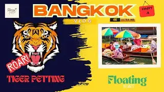 It Roared at Us! 😱 Tiger Encounter & Floating Market Fun &ndash; Thailand Vlog | Stories by GKD