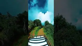 los yungas - bolivia | #nature #paisaje