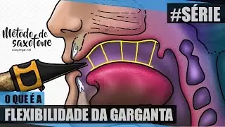 Oque &eacute; a Flexibilidade Garganta - Aula 02 - S&eacute;rie sobre Harm&ocirc;nicos do Saxofone