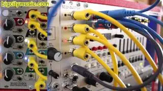 A.S. rs150 Seq\Switch sequence extension & variation