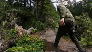 NOOKSACK FALLS