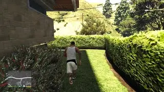 Grand Theft Auto back