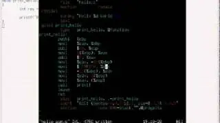 Howto generate assembly code from c-code with gcc