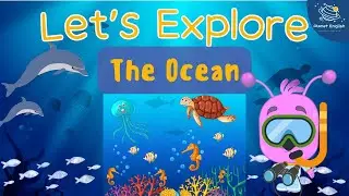 Let's Explore Ocean Life for Kindergarten | EYFS