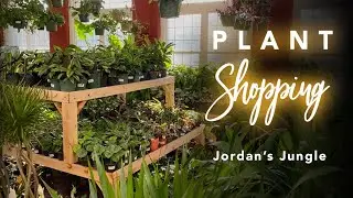 Peaceful Plant Shopping | Jordan's Jungle | Tons of Tropical Houseplants! 🦜🌿