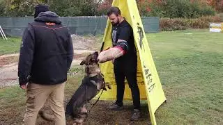 Running Blinds with Gage - Raw Training