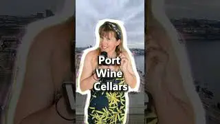 Vila Nova de Gaia  The Best Areas To Stay In PORTO? #porto