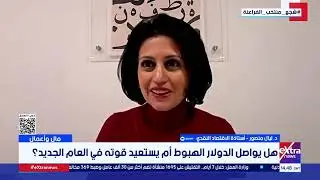 هل يواصل الدولار الهبوط أم يستعيد قوته في العام الجديد؟.. د. ليال منصور أستاذة الاقتصاد النقدي تُجيب