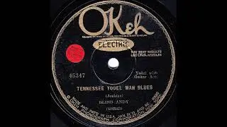 Tennessee Yodel Man Blues ~ Blind Andy (Andrew Jenkins) with Guitar Acc. (1929)