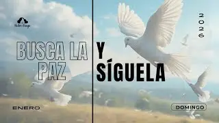 DOMINGO | BUSCA LA PAZ Y S&Iacute;GUELA