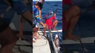 Massive catch | #swordfishhunting #fishingmethods #traditionalfishing #catchfishtechnique