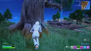 cup fortnite class&eacute;e 