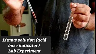 Red litmus solutions gives blue color in base | acid base indicator | #experiments | #shorts