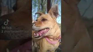 pide tu regalo 🎁