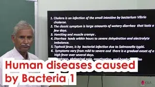 33.Botany | The living world | Human diseases caused by bacteria 1