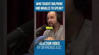 Whales and Dolphins Speak || Reaction Video to Joe Rogan Podcast 🤔😯