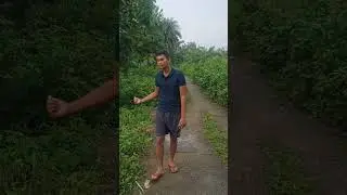 #odia#blog#comedy#odisha#newblog#firstblog #nipania #minivlog #blog #vlog